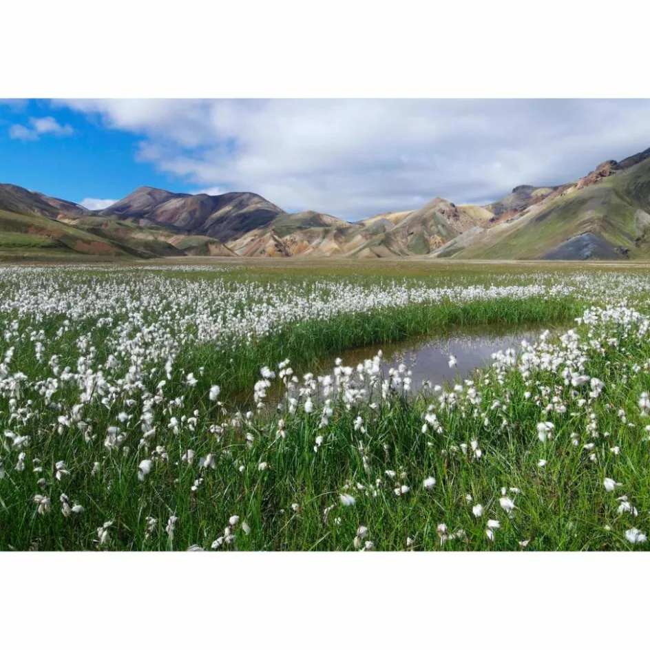Bildbände^WANDERLUST SKANDINAVIEN - Bildband