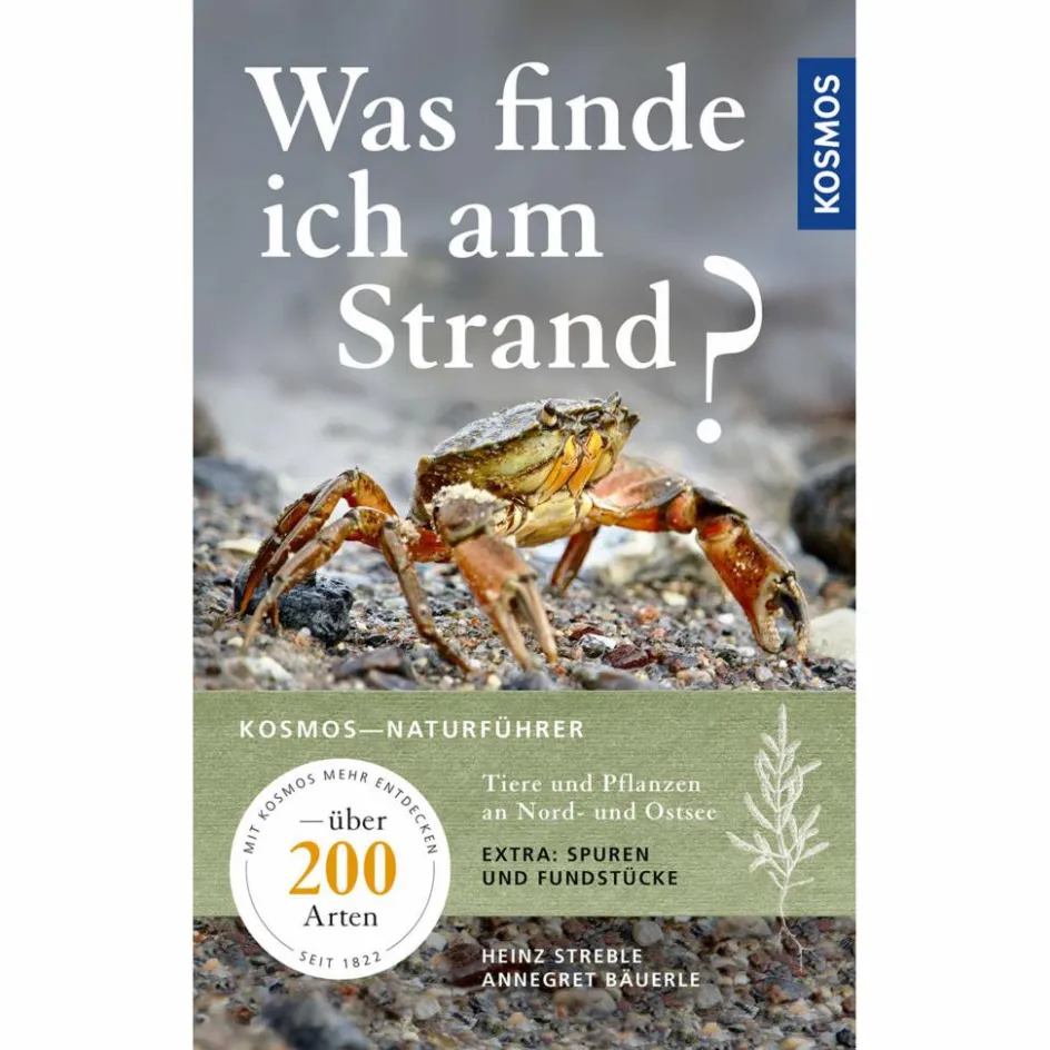 Discount WAS FINDE ICH AM STRAND? - Ratgeber Tiere, Pflanzen Und Garten
