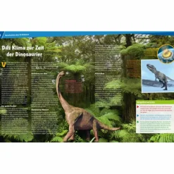 Kinder Naturratgeber Und Sachbücher|Kinderbücher Und Jugendbücher^WAS IST WAS BAND 125. KLIMA - Kinderbuch