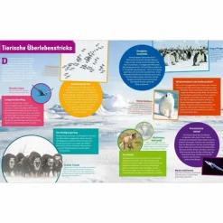 WAS IST WAS POLARSTERN. FORSCHEN IM EIS - Kinderbuch Kinder Naturratgeber Und Sachbücher|Kinderbücher Und Jugendbücher