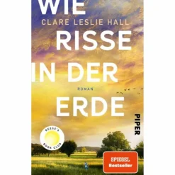 Romane^WIE RISSE IN DER ERDE - Roman