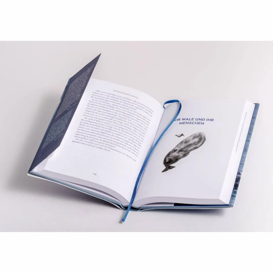 WIR WALE - Sachbuch Tiere, Pflanzen Und Garten