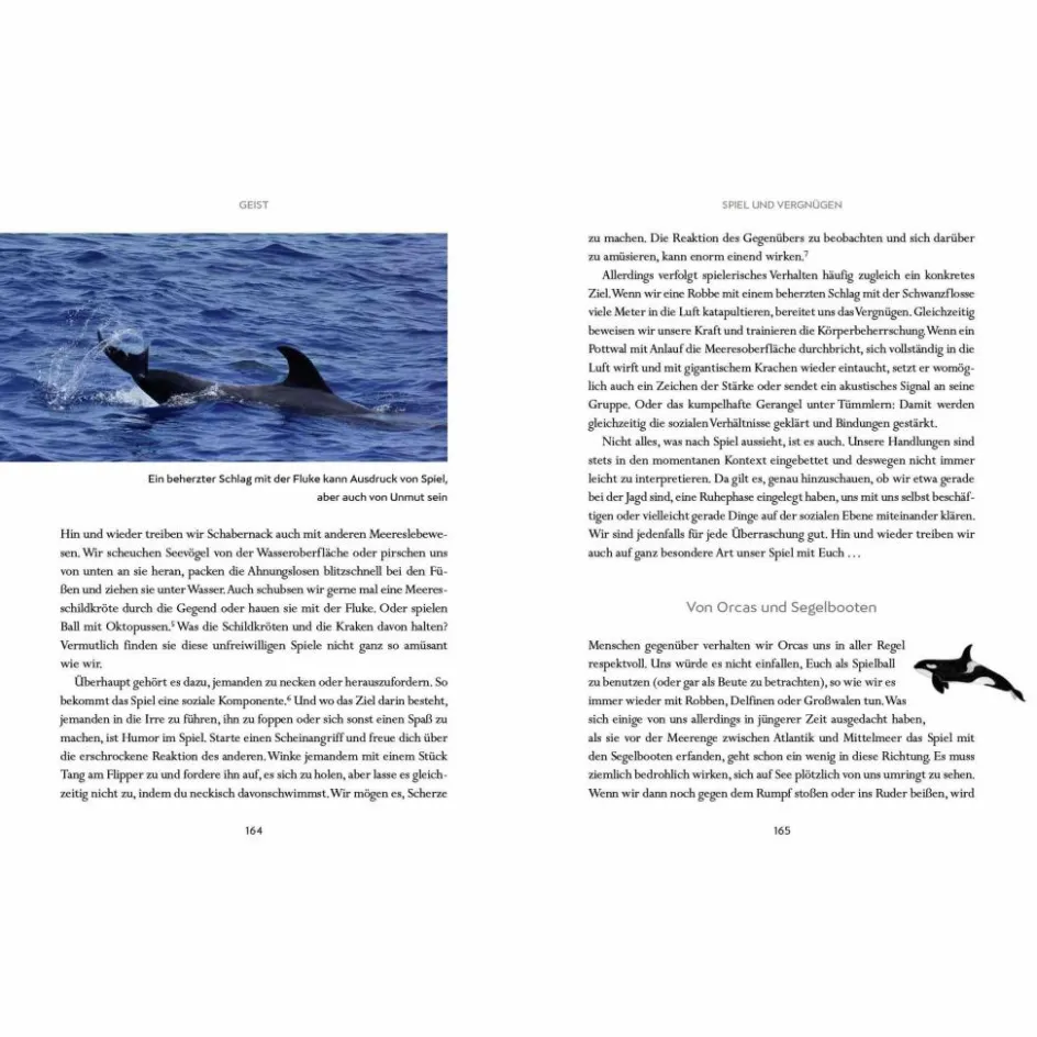 WIR WALE - Sachbuch Tiere, Pflanzen Und Garten