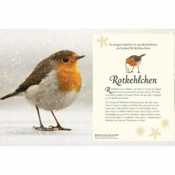 Online WUNDERVOLLE WELT DER VÖGEL - Sachbuch Kinder Naturratgeber Und Sachbücher|Kinderbücher Und Jugendbücher