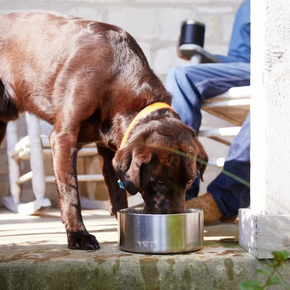 Yeti Coolers Hundezubehör^BOOMER DOG BOWL - Hundezubehör