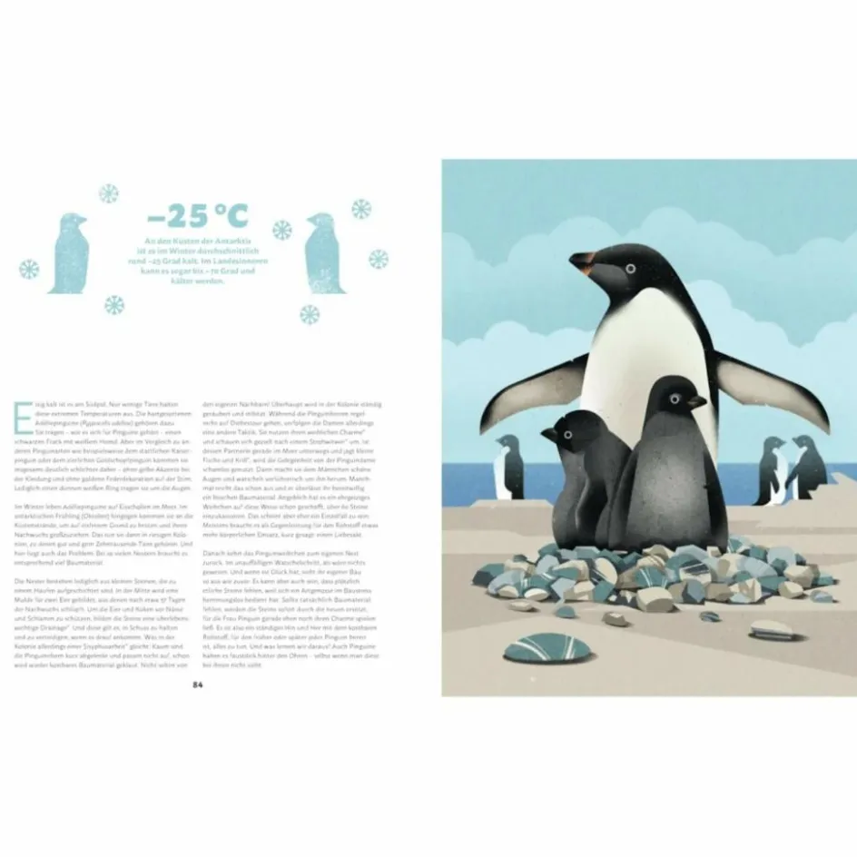 Kinder Naturratgeber Und Sachbücher|Kinderbücher Und Jugendbücher^ZU HAUSE BEI DEN WILDEN TIEREN - Kinderbuch