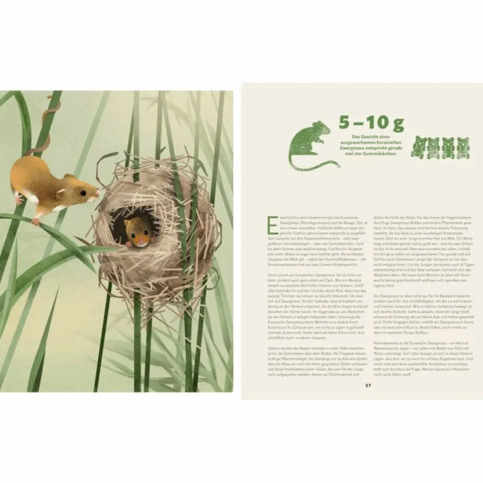 Kinder Naturratgeber Und Sachbücher|Kinderbücher Und Jugendbücher^ZU HAUSE BEI DEN WILDEN TIEREN - Kinderbuch